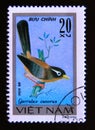 Postage stamp Vietnam, 1978. Chinese Hwamei Garrulax canorus bird