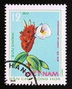 Postage stamp Vietnam, 1975. Costus speciosus Medicinal Plant flower
