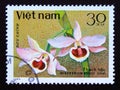 Postage stamp Vietnam, 1979. Dendrobium nobile orchid flower