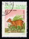Postage stamp Vietnam, 1973. Java Mousedeer Tragulus javanicus Royalty Free Stock Photo