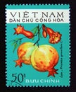 Postage stamp Vietnam, 1975. Pomegranate Punica granatum