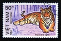 Postage stamp Vietnam, 1984. Tiger Panthera tigris Royalty Free Stock Photo