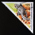 Triangle postage stamp 1997. Protoceratops dinosaur Royalty Free Stock Photo