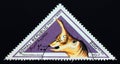 Triangle postage stamp 1997. Tsintaosaurus dinosaur