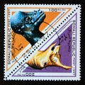 Triangle postage stamp 1997. Tsintaosaurus and pachicephalosaurus dinosaur