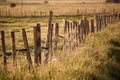 The wibbly-wobbly fence