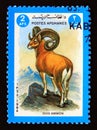 Postage stamp Afghanisatn, 1984. Argali or Mountain Sheep Ovis ammon animal