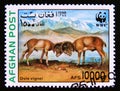 Postage stamp Afghanisatn, 1998. Urial Ovis orientalis vignei sheep