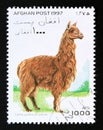 Postage stamp Afghanistan, 1997. Alpaca Lama guanicoe pacos