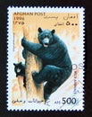 Postage stamp Afghanistan, 1996. American Black Bear Ursus americanus