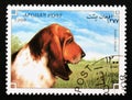 Postage stamp Afghanistan, 1998. Basset Hound dog breed Canis lupus familiaris