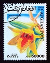 Postage stamp Afghanistan, 1999. Blood Red Dendrobium cruentum orchid flower