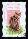 Postage stamp Afghanistan, 2000. British Shorthair cat breed Felis silvestris catus