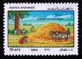 Postage stamp Afghanistan 1984. Building Haystack, Domestic Cattle Bos taurus