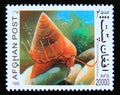 Postage stamp Afghanistan 1999. European Painted Topshell Calliostoma zizyphinum snail