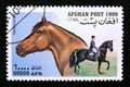 Postage stamp Afghanistan 1999. Hannoverian horse breed Equus ferus caballus Royalty Free Stock Photo