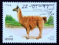 Postage stamp Afghanistan 1997, Llama, Lama guanicoe glama