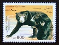 Postage stamp Afghanistan, 1996. Malayan Sun Bear Helarctos malayanus