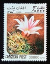 Postage stamp Afghanistan, 1999. Pincushion cactus Mammillaria yaquensis cactus plant flower Royalty Free Stock Photo