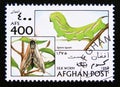 Postage stamp Afghanistan, 1996. Privet Hawkmoth Sphinx ligustri butterfly Royalty Free Stock Photo