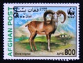 Postage stamp Afghanistan 1998. Urial Ovis orientalis vignei