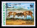 Postage stamp Afghanistan 1998. Urial Ovis orientalis vignei