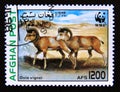 Postage stamp Afghanistan, 1998. Urial Ovis orientalis vignei sheep