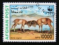 Postage stamp Afghanistan, 1998. Urial Ovis orientalis vignei sheep