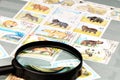 Postage stamp album Royalty Free Stock Photo