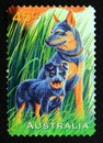 Postage stamp Australia, 1996. Blue Heeler Dogs Canis lupus familiaris