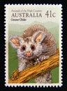 Postage stamp Australia, 1990. Southern Greater Glider Petauroides volans Marsupial