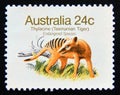 Postage stamp Australia, 1981. Tasmanian Tiger Thylacine Thylacinus cyanocephalus