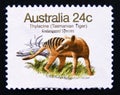 Postage stamp Australia, 1981. Thylacine Thylacinus cyanocephalus Tasmanian Tiger Royalty Free Stock Photo