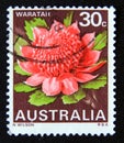Postage stamp Australia, 1968. Waratah Telopea speciosissima, New South Wales flower Royalty Free Stock Photo