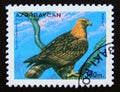 Postage stamp Azerbaijan, 1995. Golden Eagle Aquila chrysaetos bird of prey Royalty Free Stock Photo