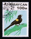 Postage stamp Azerbaijan, 1996. Yellow mantled Widowbird Euplectes macroura bird