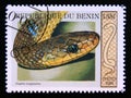 Postage stamp Benin, 1999. Aesculapian Snake Elaphe longissima