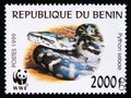 Postage stamp Benin, 1999. African Rock Phyton Python sebae snake animal