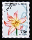 Postage stamp Benin 1995. Amaryllis belladonna flower