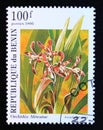 Postage stamp Benin, 1995. Ansellia africana orchid Flower