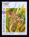 Postage stamp Benin 1995. Ansellia africana orchid flower