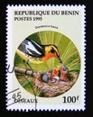 Postage stamp Benin, 1995. Blackburnian Warbler Dendroica fusca bird