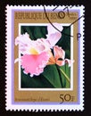 Postage stamp Benin, 1999. Brassocattleya cliftonii orchid Flower