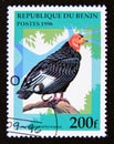 Postage stamp Benin 1996. California Condor Gymnogyps californianus bird