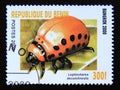 Postage stamp Benin, 2000. Colorado Potato Beetle Leptinoptarsa decemlineata juvenile insect