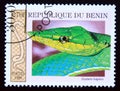 Postage stamp Benin, 1999, Green Vine Snake,, oxybelis fulgidus Royalty Free Stock Photo