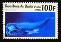 Postage stamp Benin 1996. Southern Right Whale Eubalaena australis Royalty Free Stock Photo