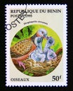 Postage stamp Benin, 1995. Spotted Dove Streptopelia chinensis bird