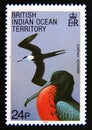 Postage stamp British Indian Ocean Territory, 1990. Greater Frigate Fregata minor bird