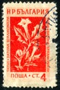 Postage stamp